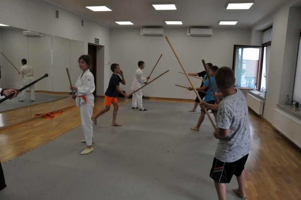 Pokazowy trening aikido